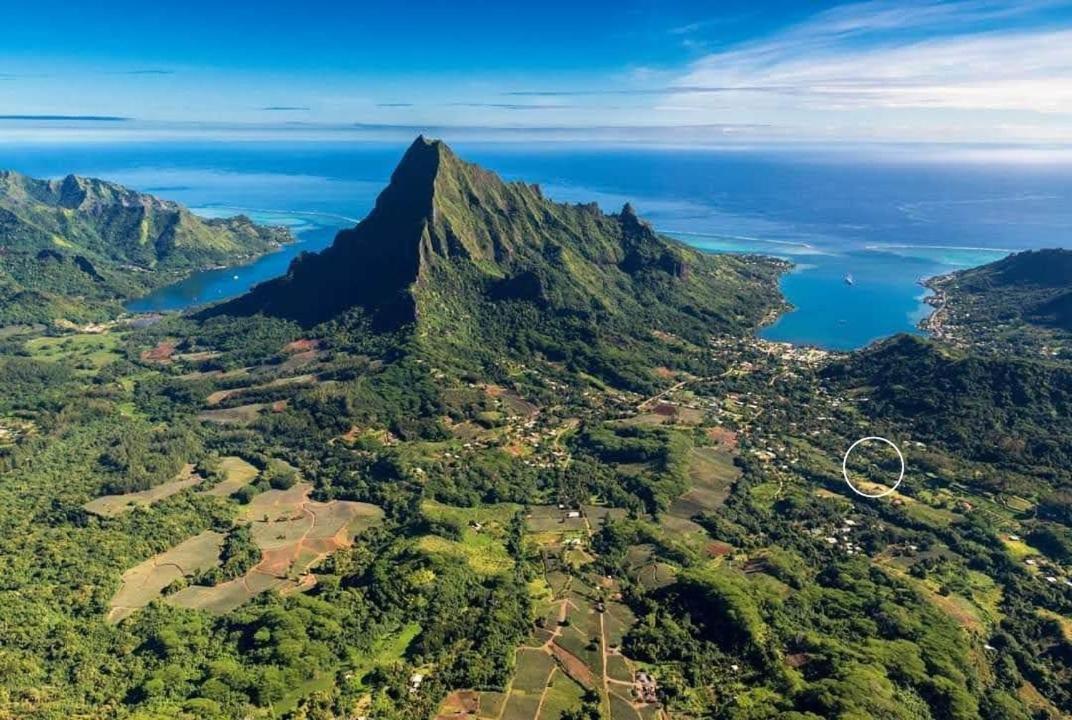 Rotui Lodge Paopao エクステリア 写真
